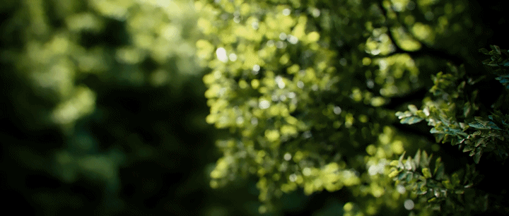 图片[3]-【室内外效果图】文洋 Corona9.0超写实渲染22冬季班丨MP4丨50.5G 44节+课件-壹书网