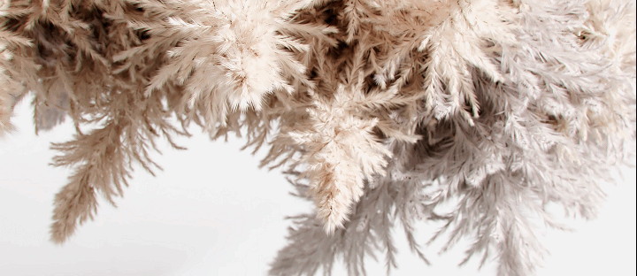 图片[8]-【室内外效果图】文洋 Corona9.0超写实渲染22冬季班丨MP4丨50.5G 44节+课件-壹书网