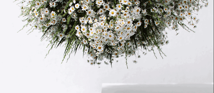 图片[9]-【室内外效果图】文洋 Corona9.0超写实渲染22冬季班丨MP4丨50.5G 44节+课件-壹书网