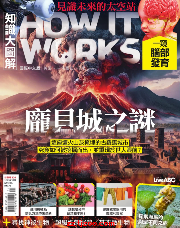 【台湾版】How It Works 知識大圖解國際中文版 2025 1月號 第124期PDF电子版杂志