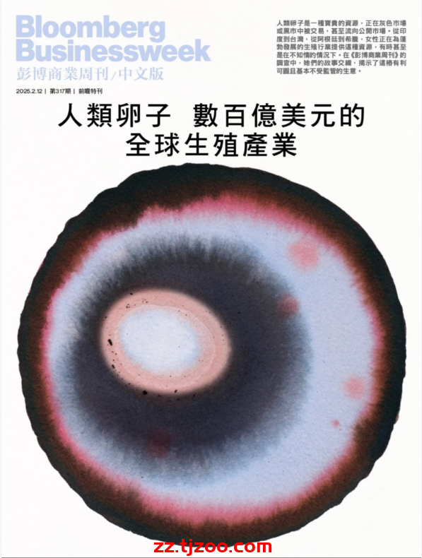【香港版】彭博商業周刊中文版 2025-2-12 第317期PDF电子版杂志